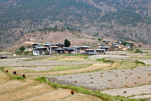 Region um Chimi Lakhang