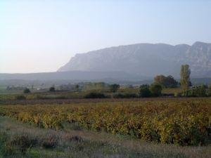 Felder in der Provence