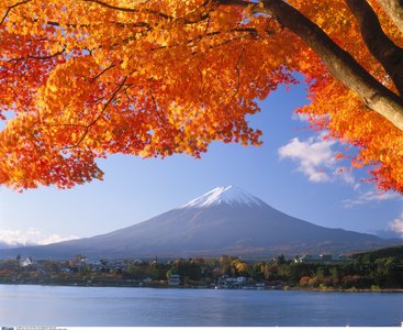 Herbstlaubfaerbung Fuji, Japan 