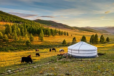 Steppe mit Zelt bei Sonnenuntergang, Mongolei 