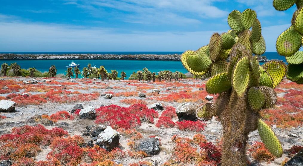 Plaza Sur, Galapagos Inseln