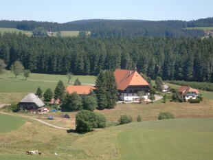 Schwarzwaldhof