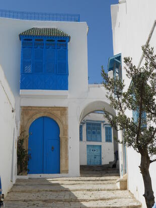 Sidi Bou Said 