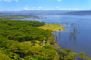 Blick auf den Nakuru-See