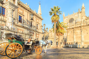 Kathedrale am Giralda Turm