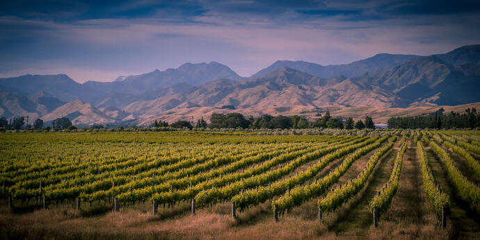 Marlborough Sounds