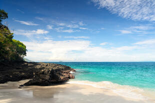 Tropischer Strand