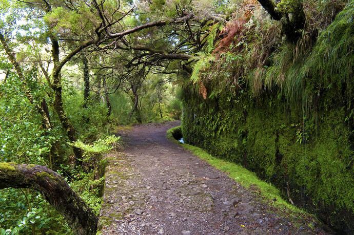 Typische Levada