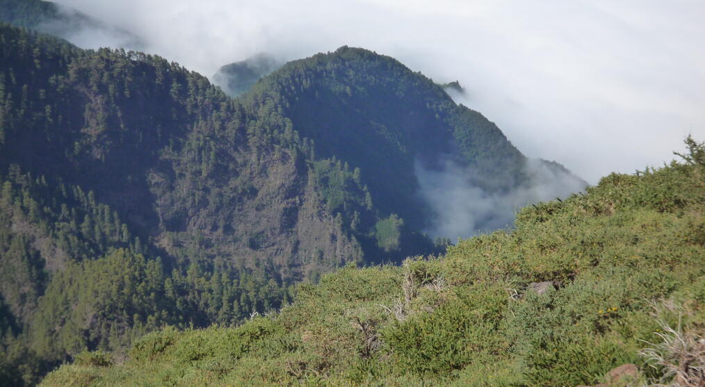 La Palma Urlaub