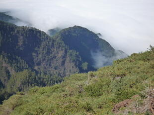 Naturerlebnis im Nationalpark Caldera de Taburiente