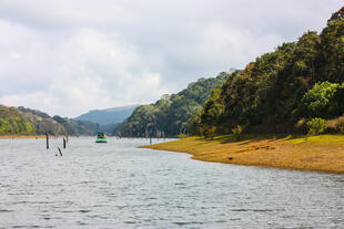 See im Periyar National Park