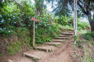 Wandern Richtung Ribeiro Frio