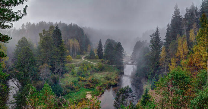 Dzukija-Nationalpark