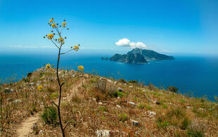 Blick auf Capri von Punta Campanella