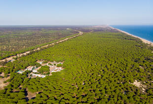 Nationalpark Coto de Doñana