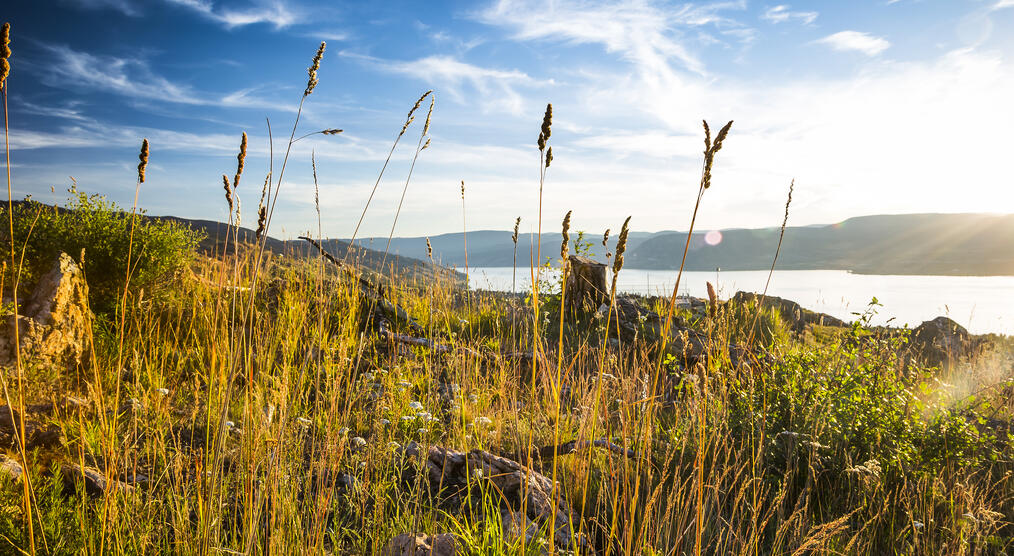 Natur im Okanagan Valley