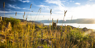 Natur im Okanagan Valley