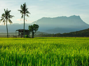 Kota Kinabalu 