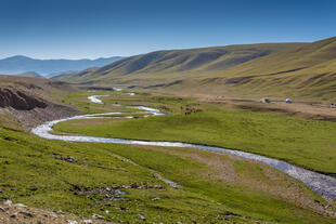 Landschaftlicher Ausblick auf das Orkhon Valley