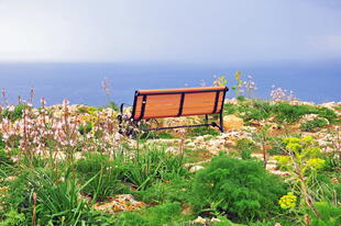 Rastplatz an den Dingli Klippen