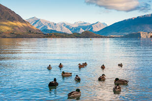 Lake Wanaka 