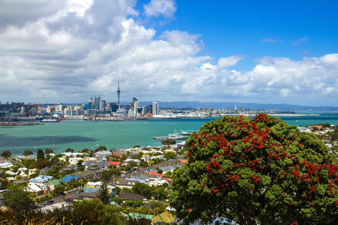 Blick auf Auckland