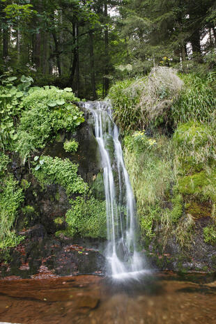 Wasserfall