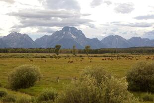 Grand Teton-Bergkette