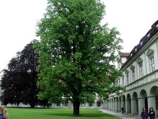 Klostergarten des Benediktbeuern Klosters