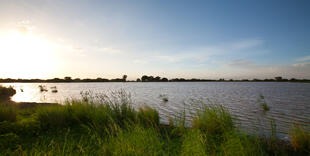 Landschaft am Lake Manyara