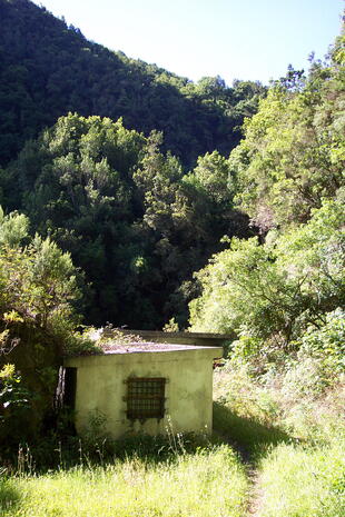 Lorbeerwald Cubo de la Galga