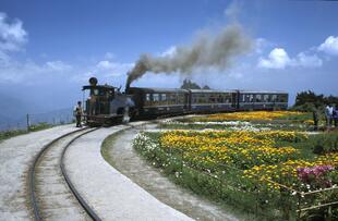 Toy Train nach Ghoom