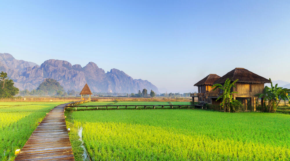 Reisfelder in Vang Vieng