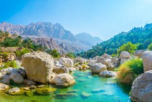 Wadi Tiwi