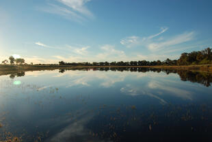 Okavango Delta