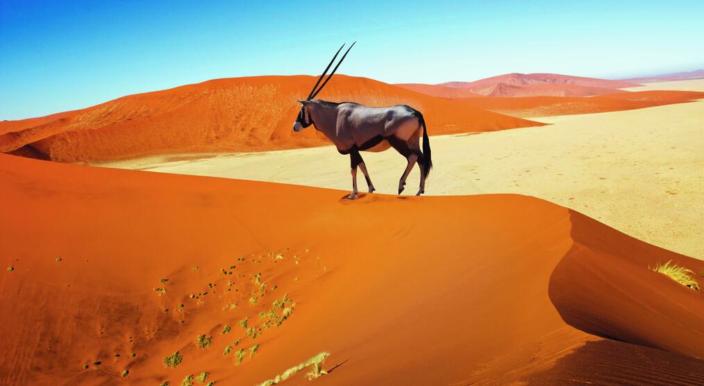 Namibia