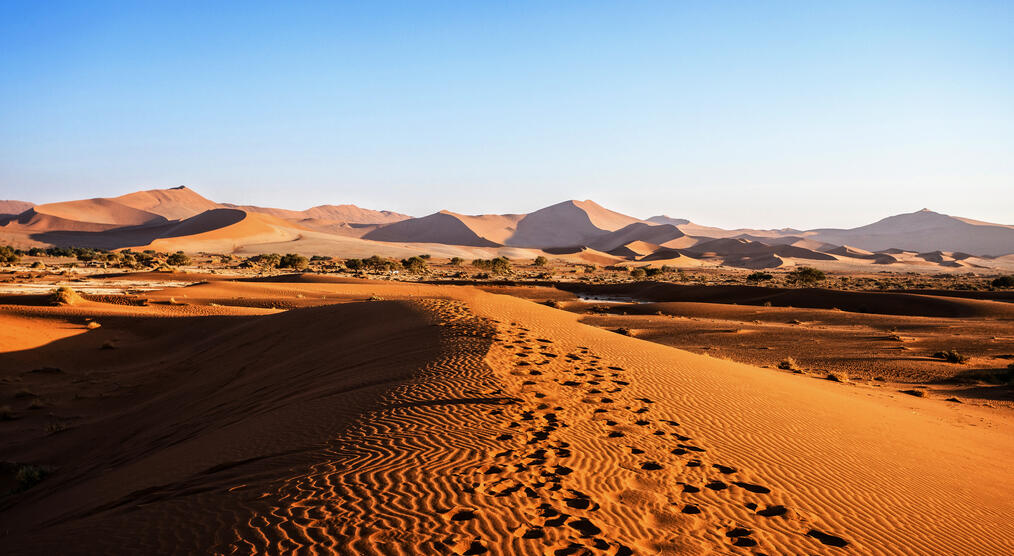 Blick auf die Namib Wüste