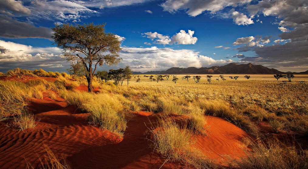 Namibia 