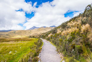 Natur im Cotopaxi Nationalpark