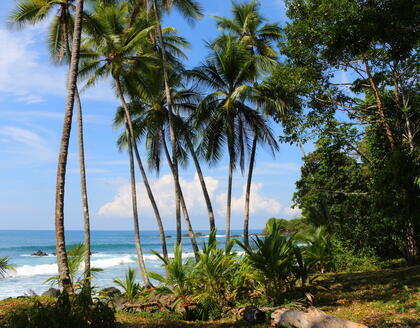 Strand in Uvita