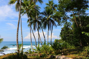 Strand in Uvita