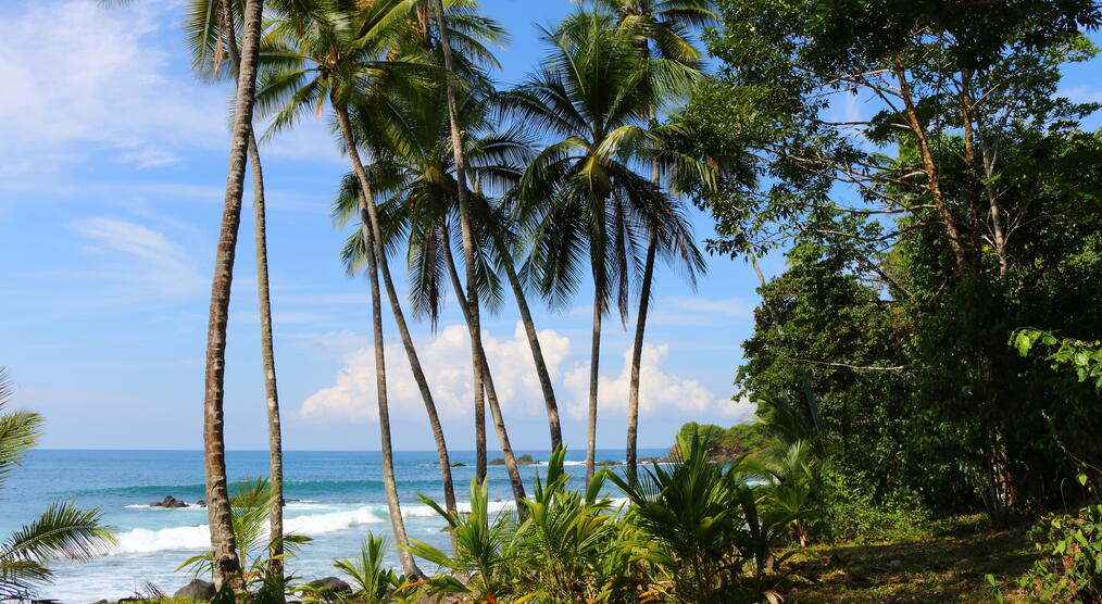 Strand in Uvita