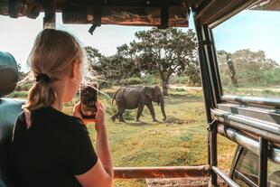 Tierbeobachtung auf einer Safari-Fahrt in Tansania 