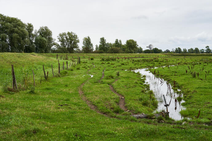 Landschaft bei Middelhagen