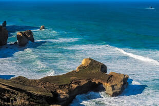 Natur in der Gegend von Dunedin