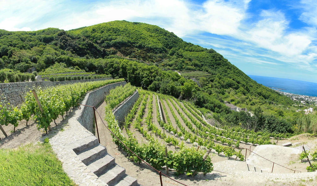 Panoramablick Ischia