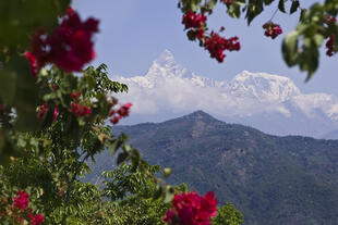 Pokhara