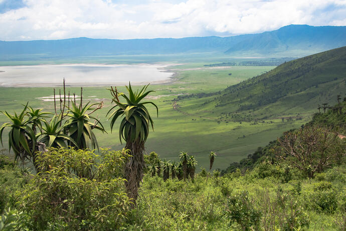 Blick in den Ngorongoro Krater