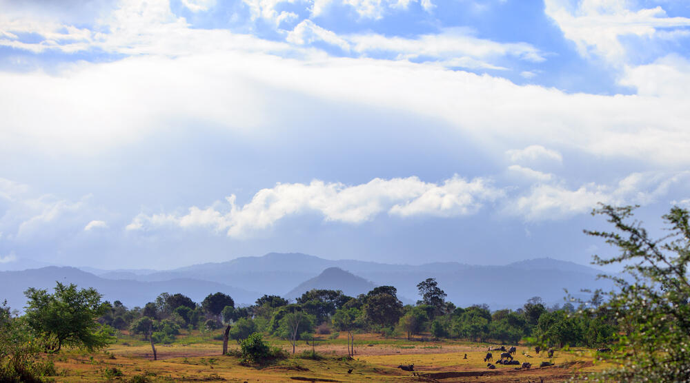 Udawalawe Nationalpark