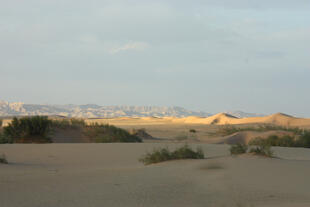 Wüstenlandschaft in Jordanien